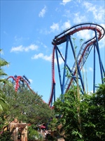 busch gardens.jpg15