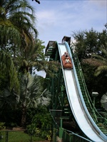 busch gardens.jpg17