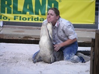 gatorwrestling2.jpg