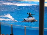 seaworld.jpg15