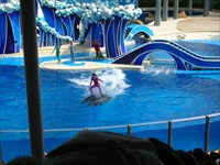 seaworld.jpg