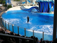 seaworld.jpg17