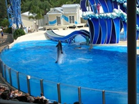 seaworld.jpg18