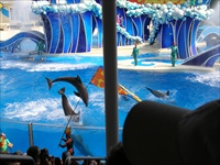 seaworld.jpg