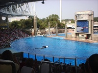 shamu.jpg2